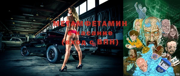 прущая мука Вяземский