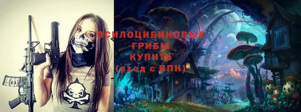 соль ск Вязьма