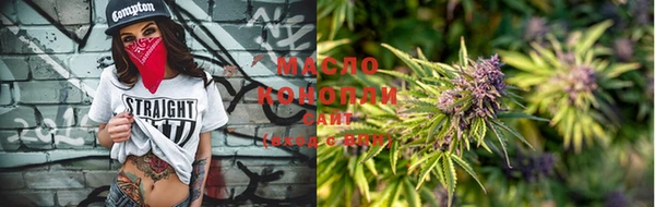 прущая мука Вяземский