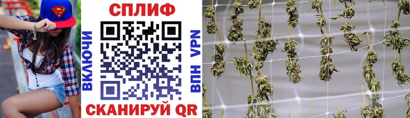 Конопля SATIVA & INDICA  Черемхово 